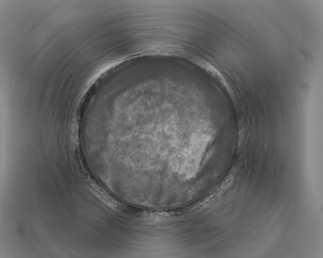 X0000113101019200909251027