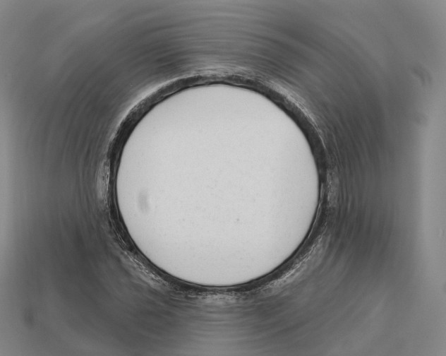 X0000113101021200909251027