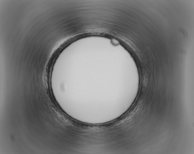 X0000113101022200909251027