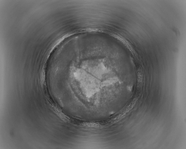 X0000113101023200909251027
