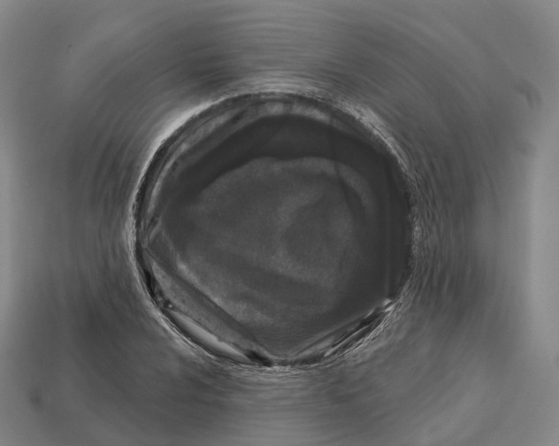 X0000113101024200909251027
