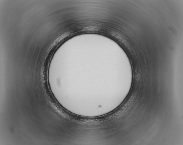 X0000113101026200909251027