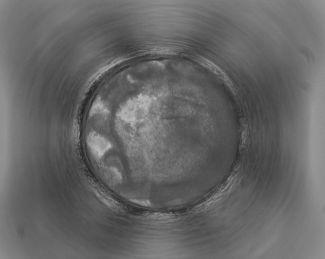 X0000113101027200909251027