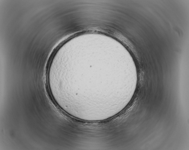 X0000113101028200909251027
