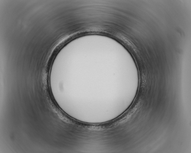 X0000113101029200909251027
