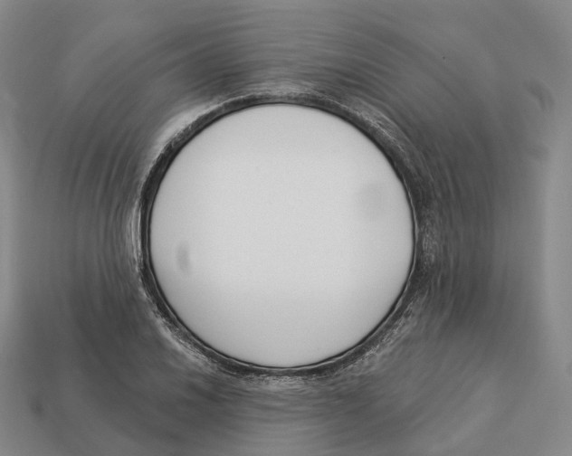 X0000113101030200909251027