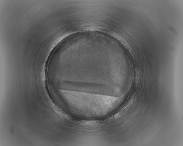 X0000113101031200909251027