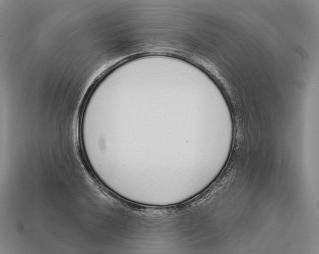 X0000113101032200909251027
