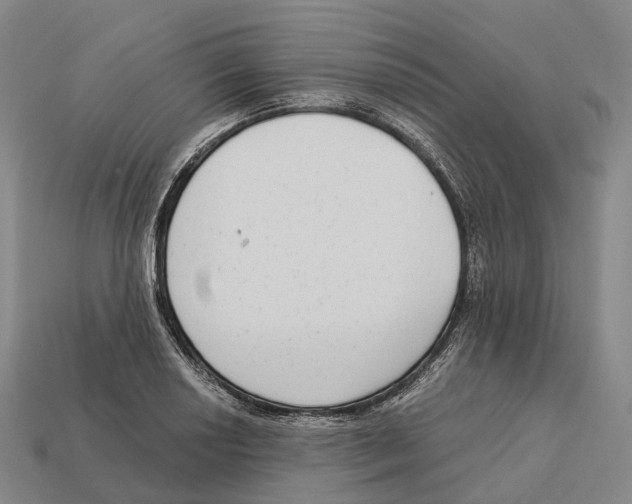 X0000113101034200909251027