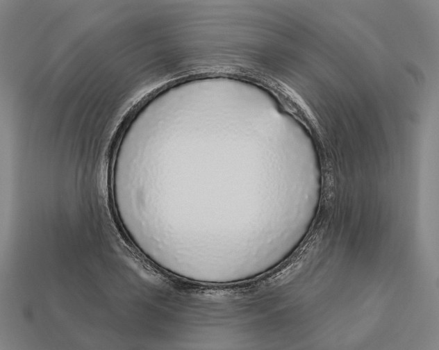 X0000113101035200909251027