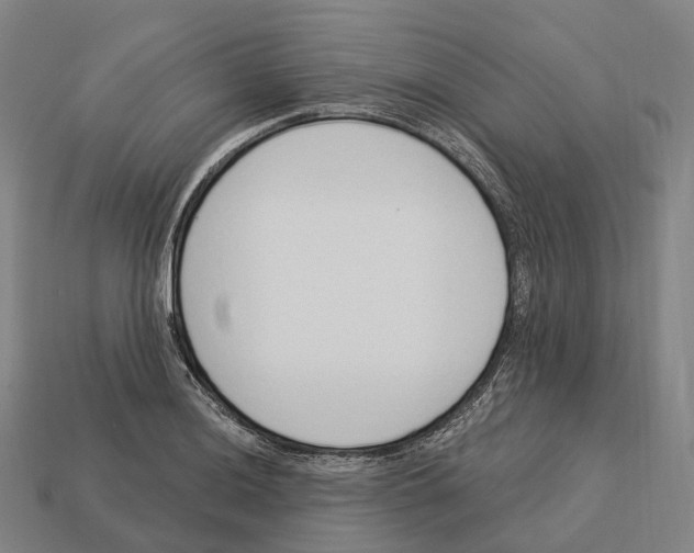 X0000113101036200909251027