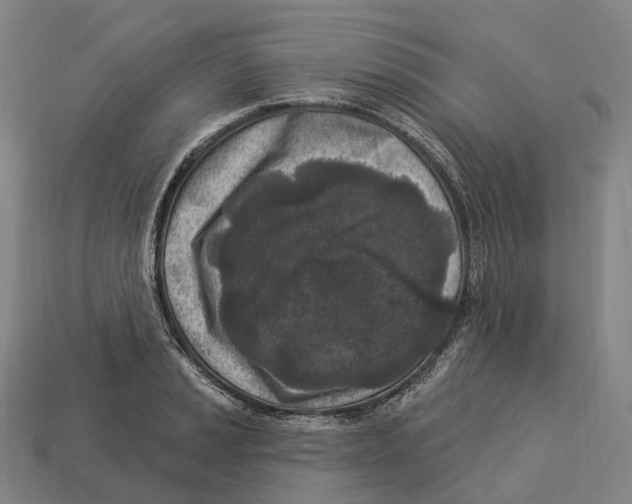 X0000113101037200909251027
