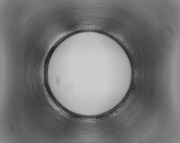 X0000113101038200909251027