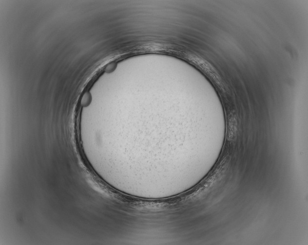X0000113101039200909251027