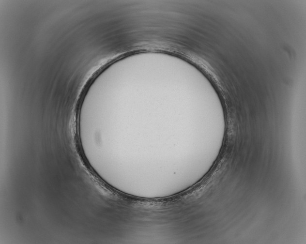 X0000113101040200909251027