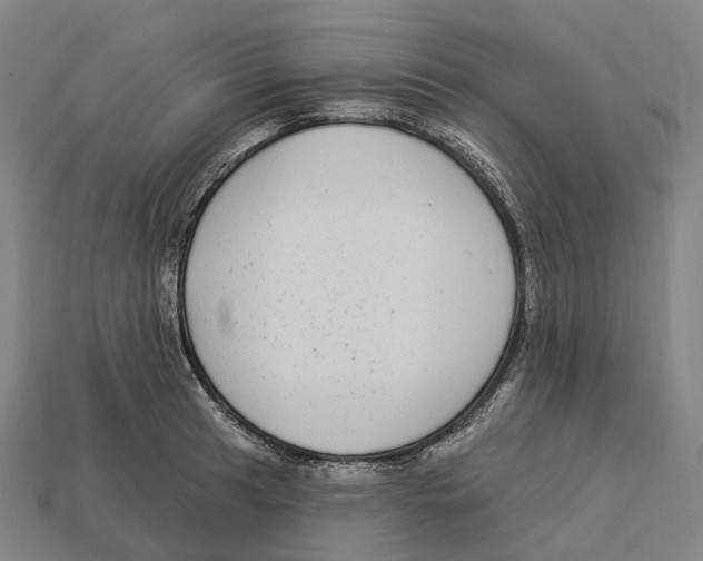 X0000113101041200909251027
