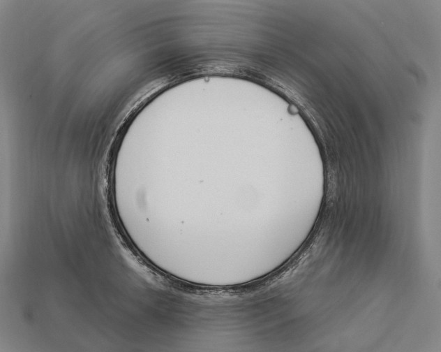 X0000113101042200909251027