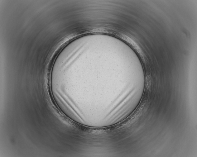 X0000113101043200909251027
