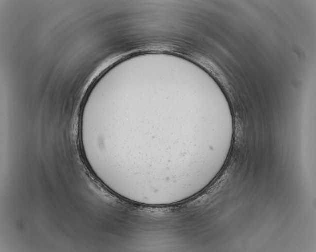 X0000113101044200909251027