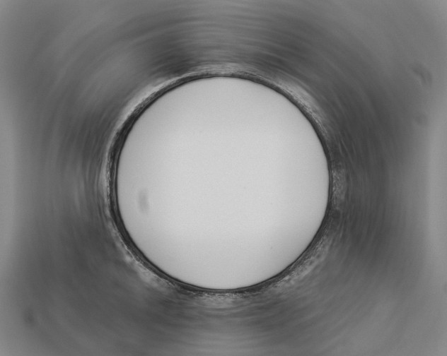 X0000113101046200909251027