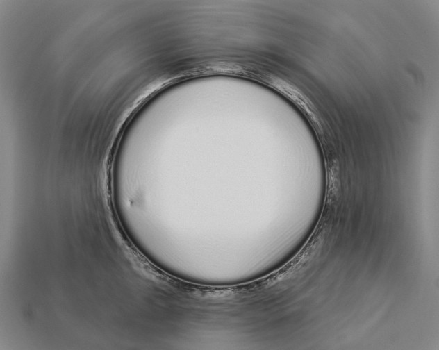 X0000113101047200909251027