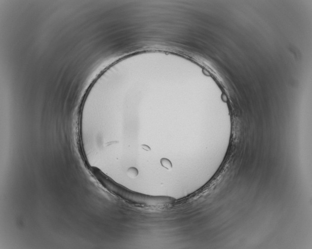 X0000113101048200909251027