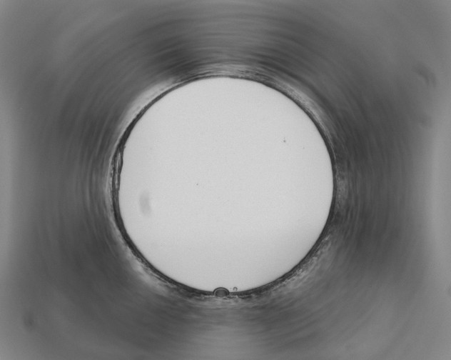 X0000113101050200909251027