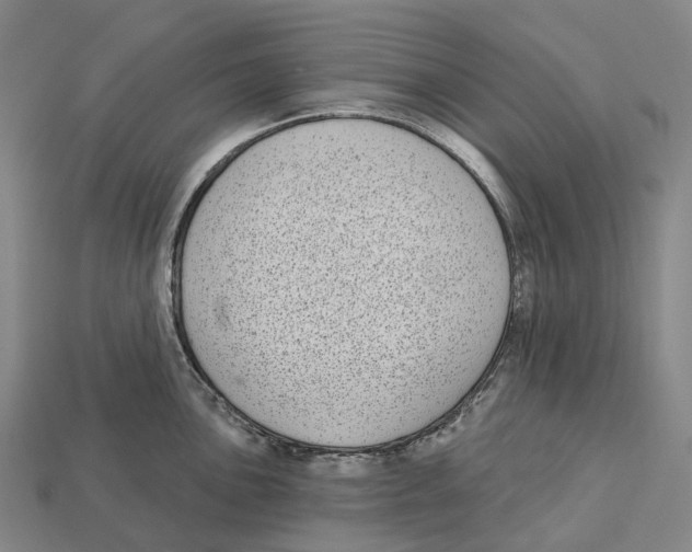 X0000113101051200909251027