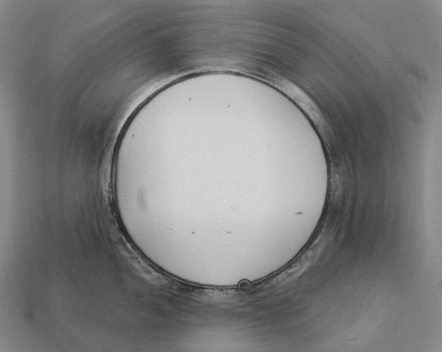 X0000113101052200909251027