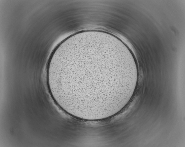 X0000113101053200909251027