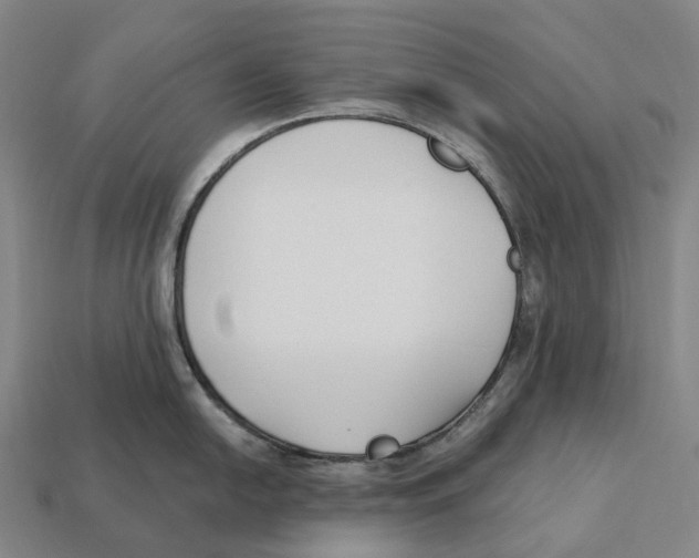 X0000113101054200909251027