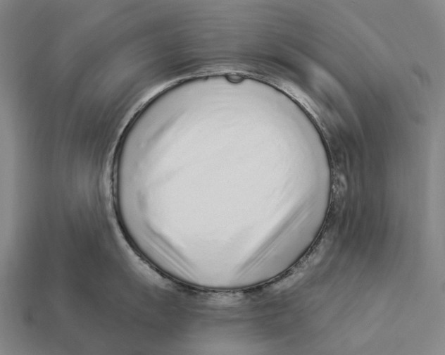 X0000113101055200909251027