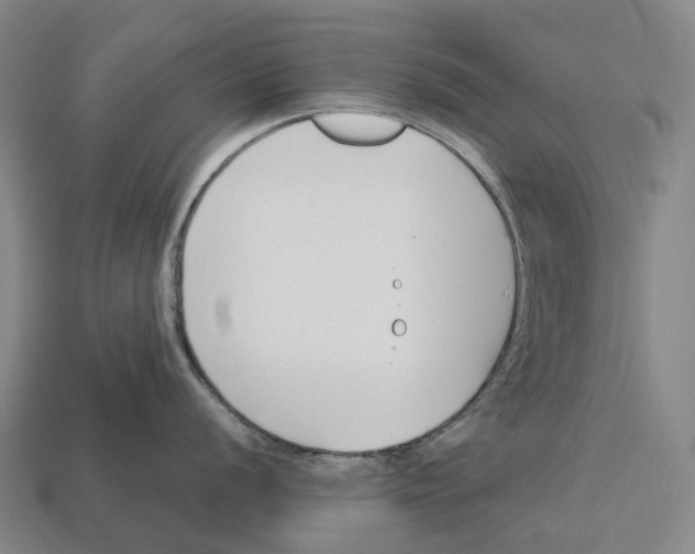X0000113101056200909251027