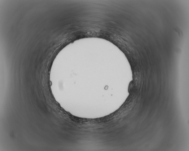 X0000113101057200909251027