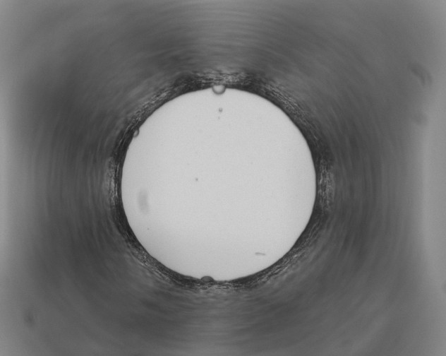 X0000113101058200909251027