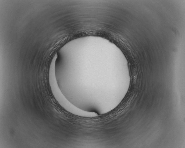 X0000113101060200909251027