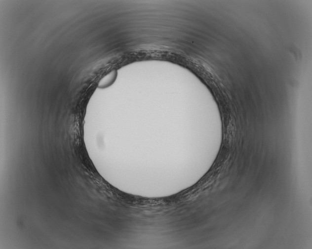 X0000113101062200909251027
