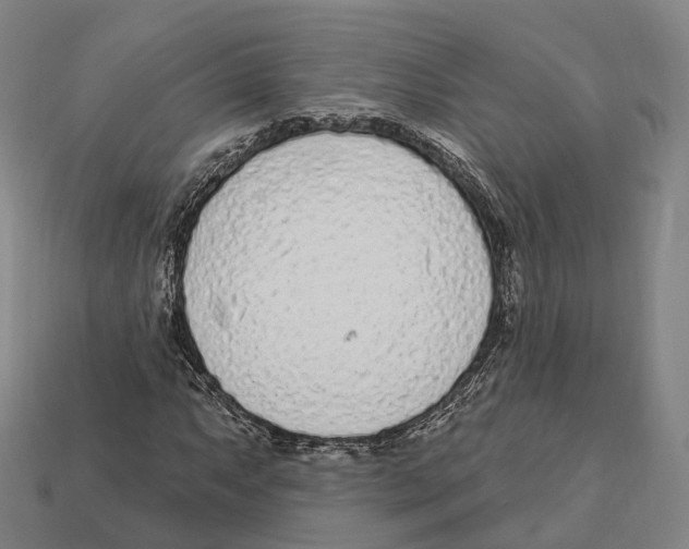 X0000113101063200909251026