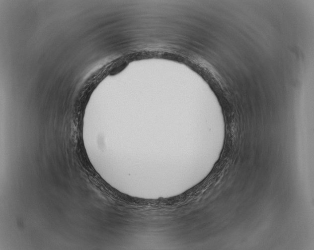 X0000113101064200909251026