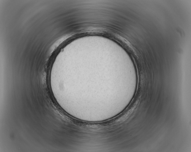 X0000113101066200909251026
