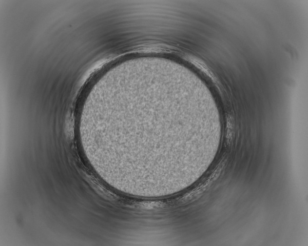 X0000113101067200909251026