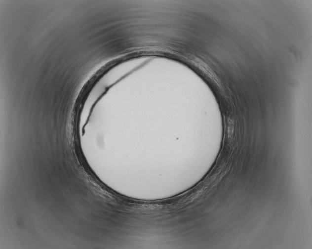 X0000113101068200909251026