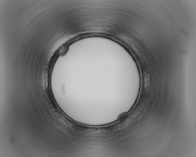 X0000113101069200909251026