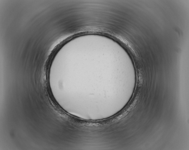 X0000113101070200909251026