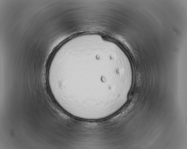 X0000113101071200909251026