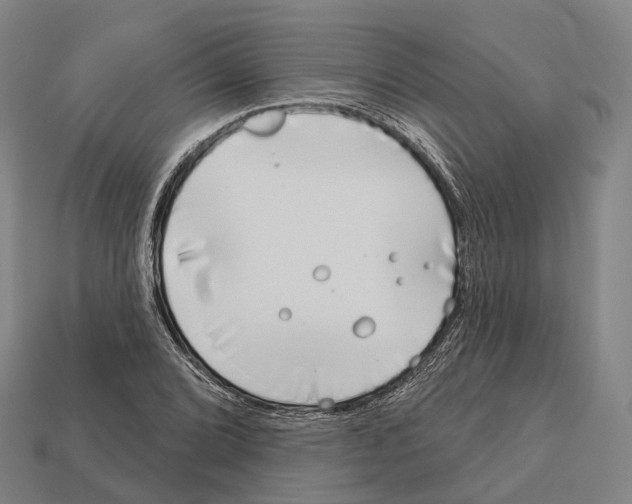 X0000113101072200909251026
