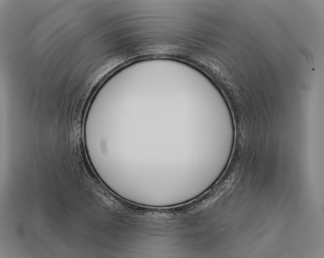 X0000113101073200909251026