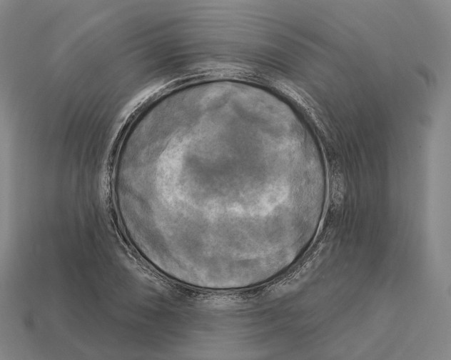 X0000113101074200909251026