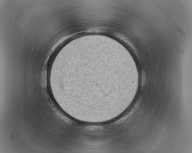 X0000113101075200909251026