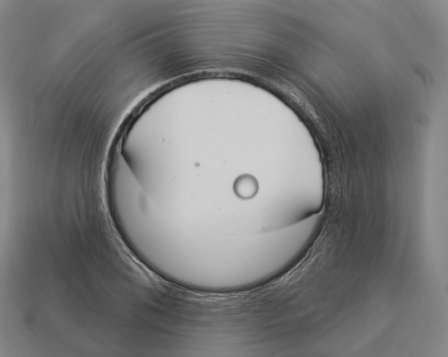 X0000113101076200909251026